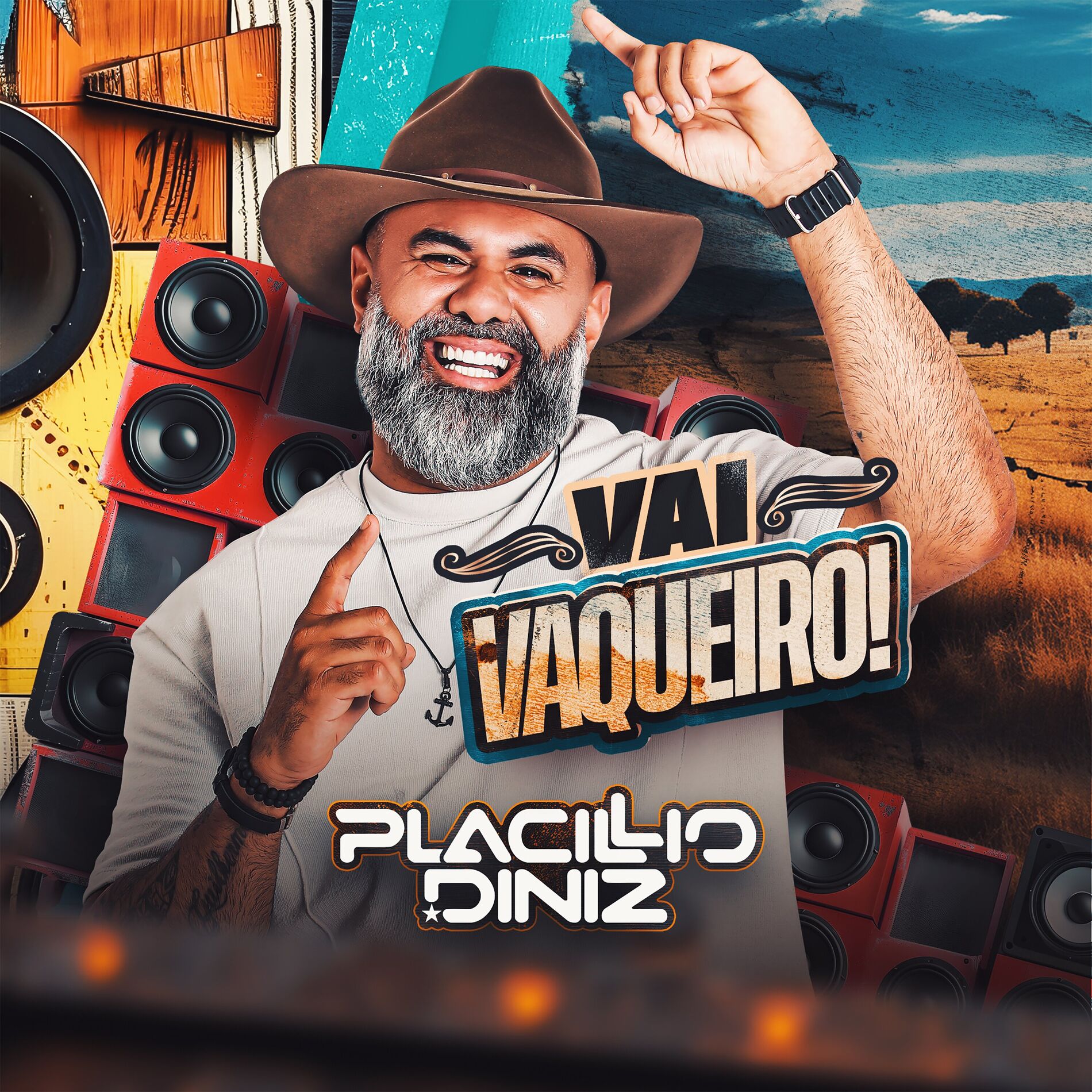 Album cover of Vai Vaqueiro