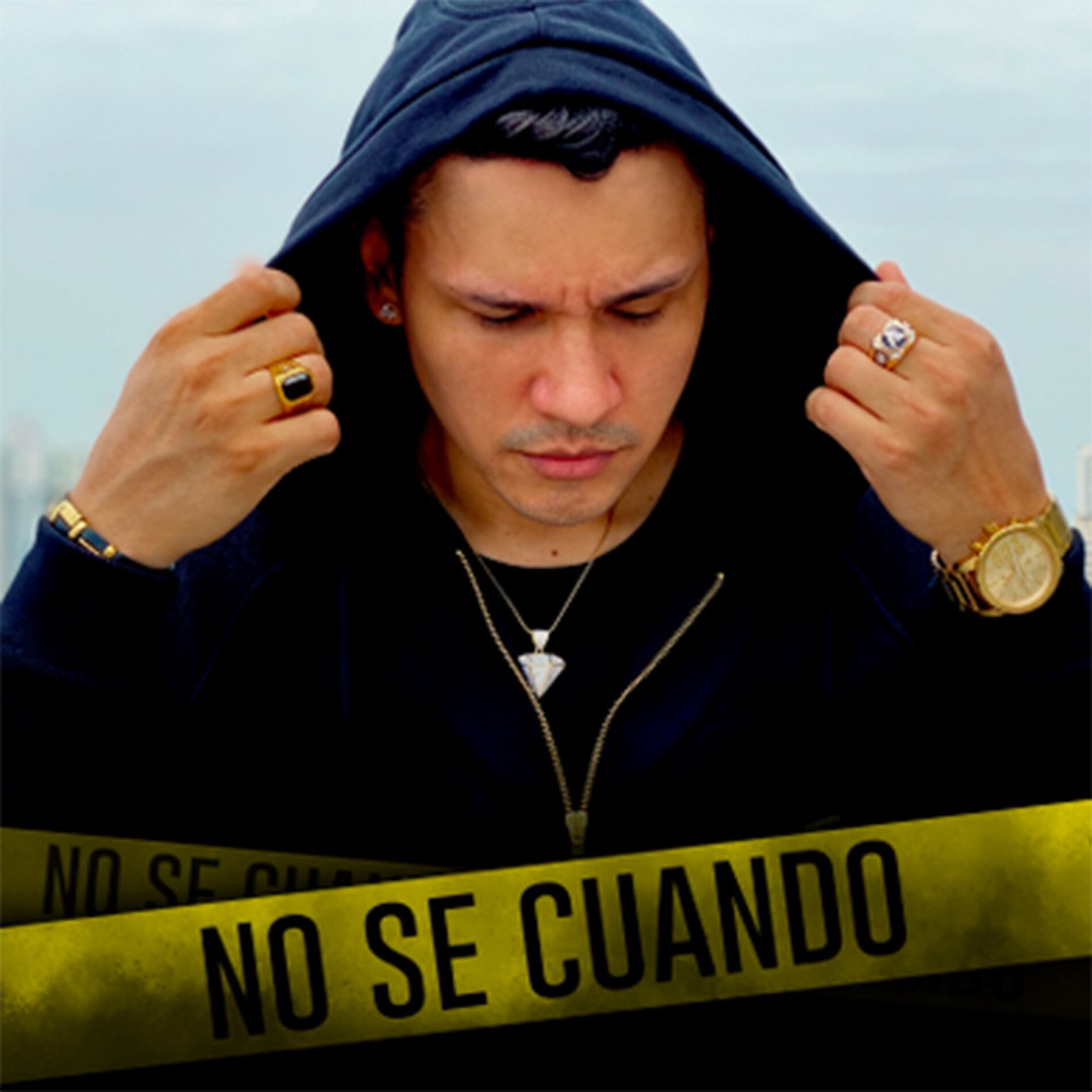 Album cover of No se Cuando