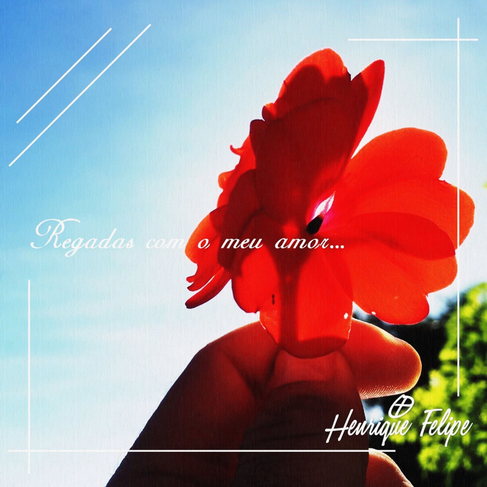Album cover of Regadas Com o Meu Amor