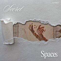 Cover of Secret Spaces