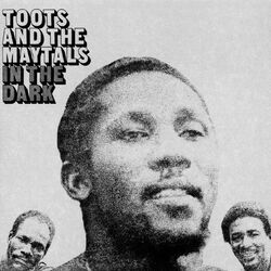 Cover of In The Dark