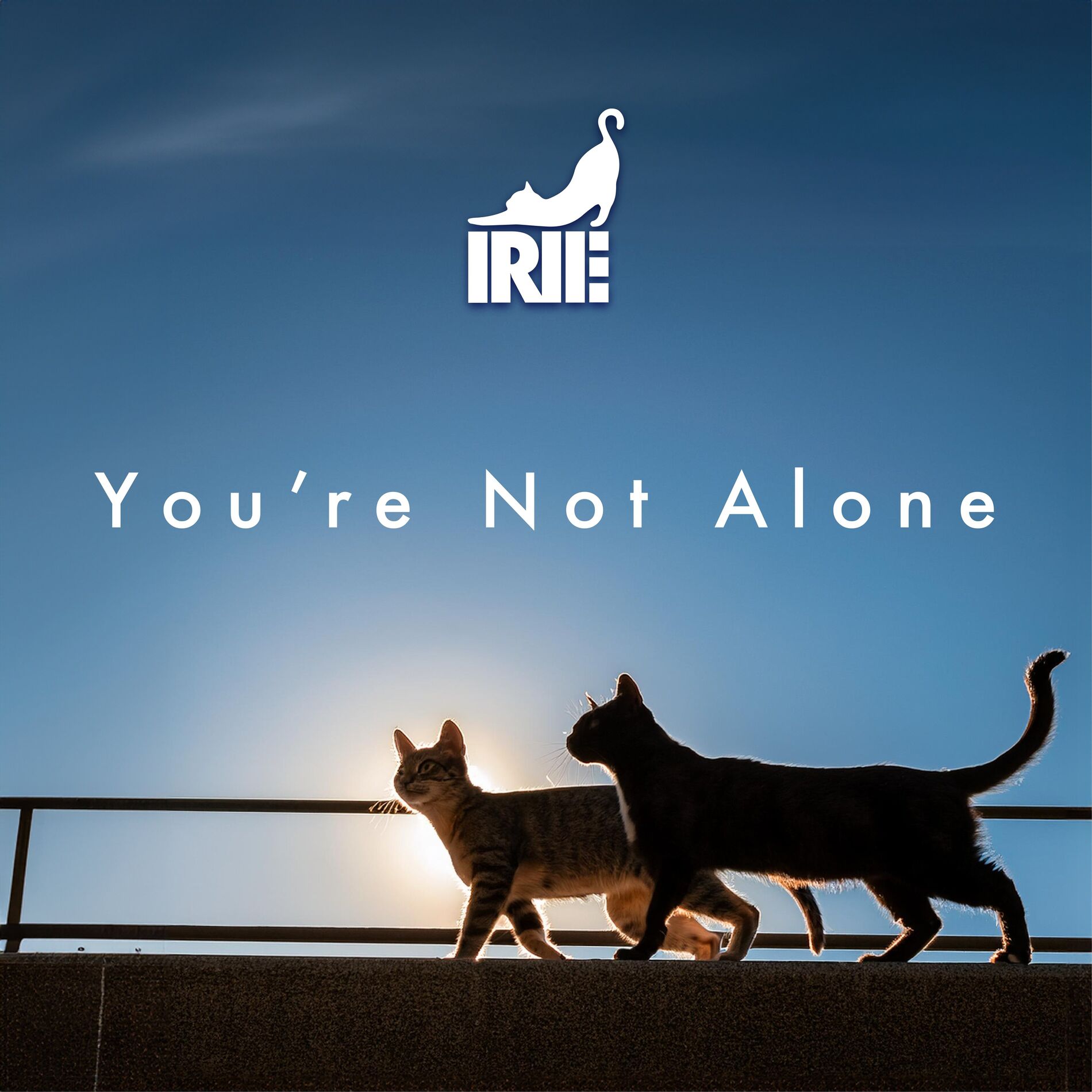 Album cover of You are not alone (feat. YURI & Yosuke Kishi)