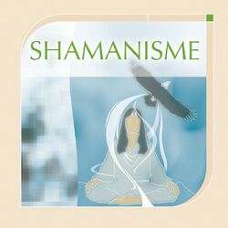 Cover of Musiques de soins: shamanisme