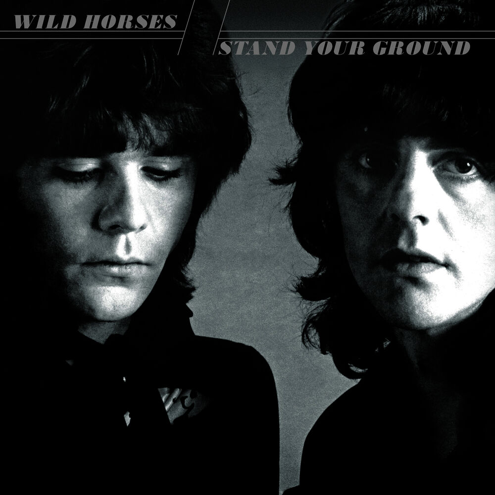 Picture of Stand Your Ground