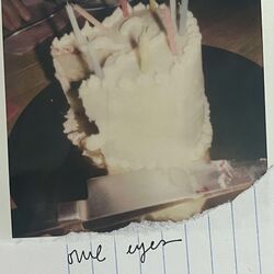 Cover of Owl Eyes