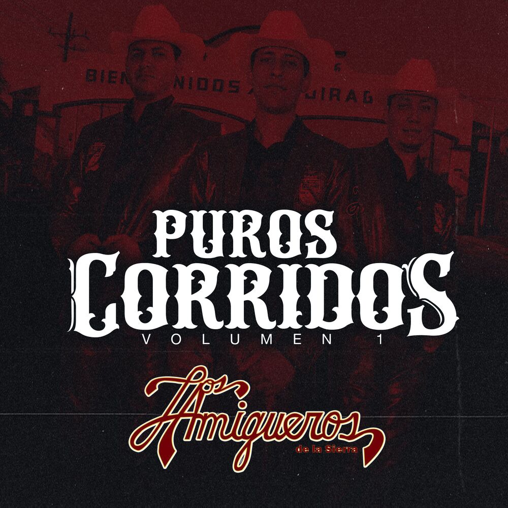 Picture of Puros Corridos Volumen 1