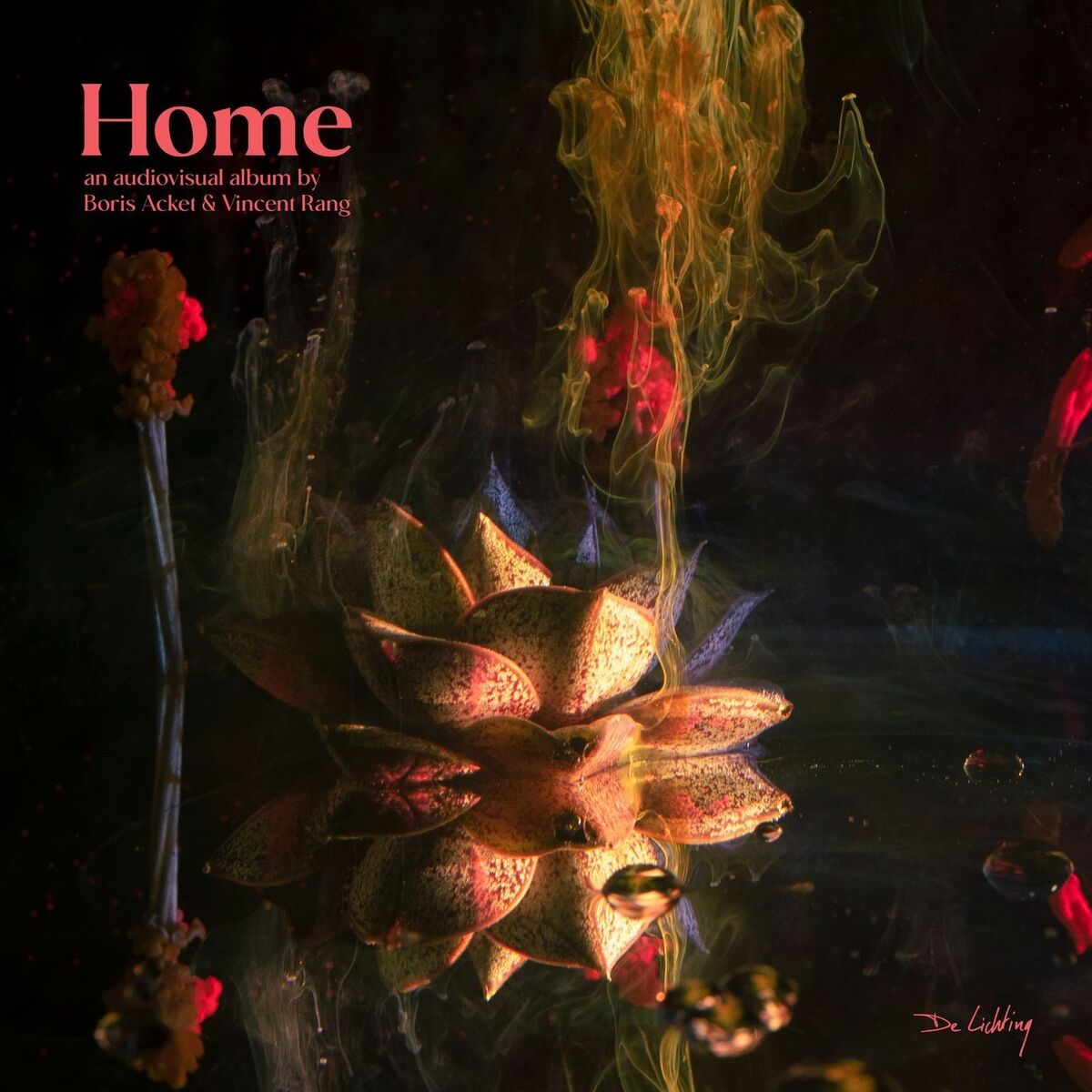 Album cover of Home (feat. visual artist Vincent Rang)