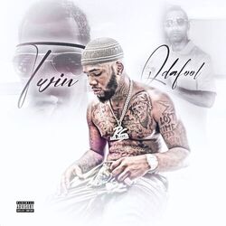 Cover of Twin