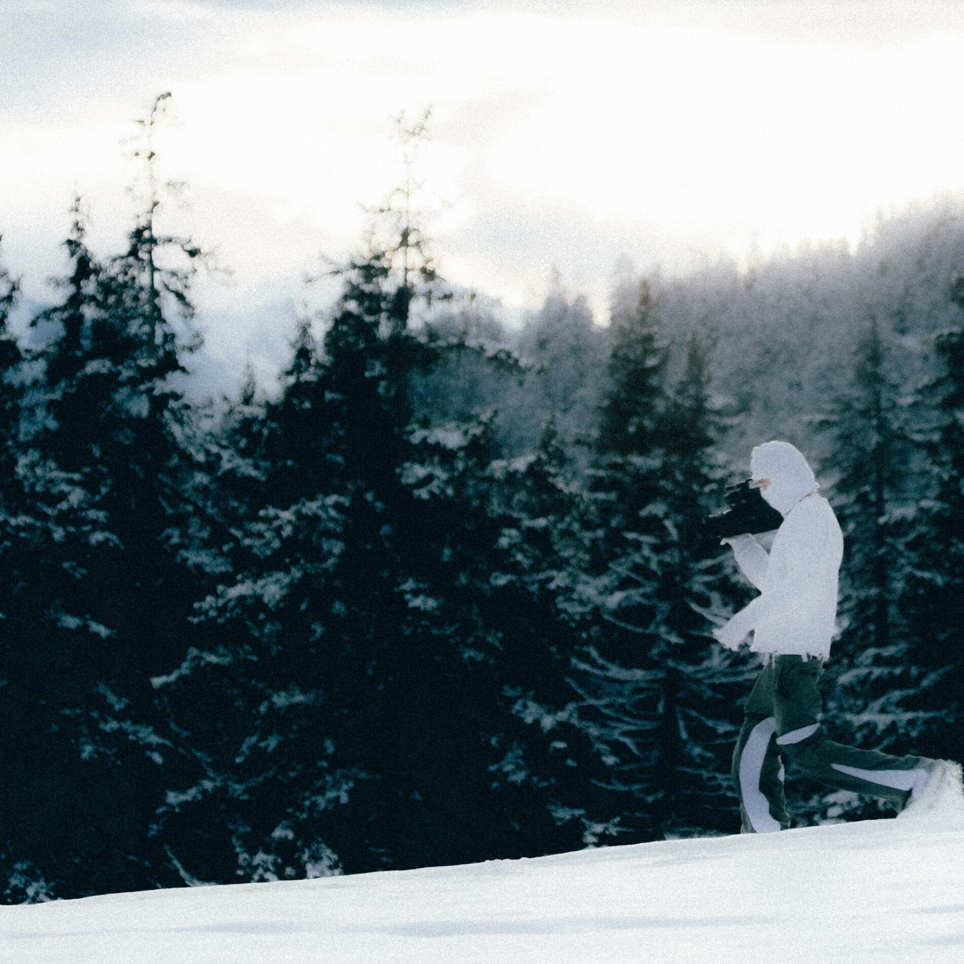 Album cover of En attendant l'hiver