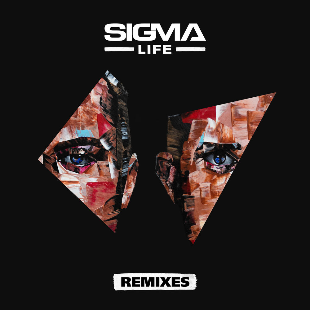 Picture of Life (Remixes)