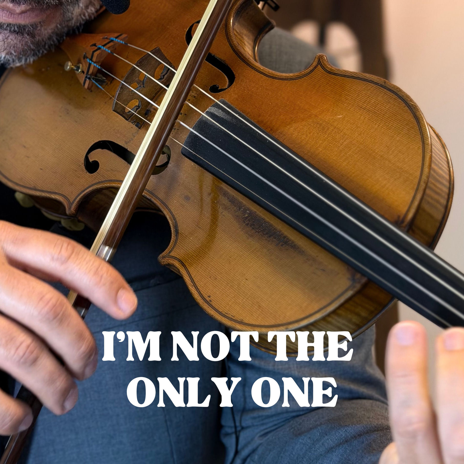 Album cover of I'm Not the Only One