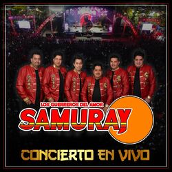 Cover of Concierto en Vivo