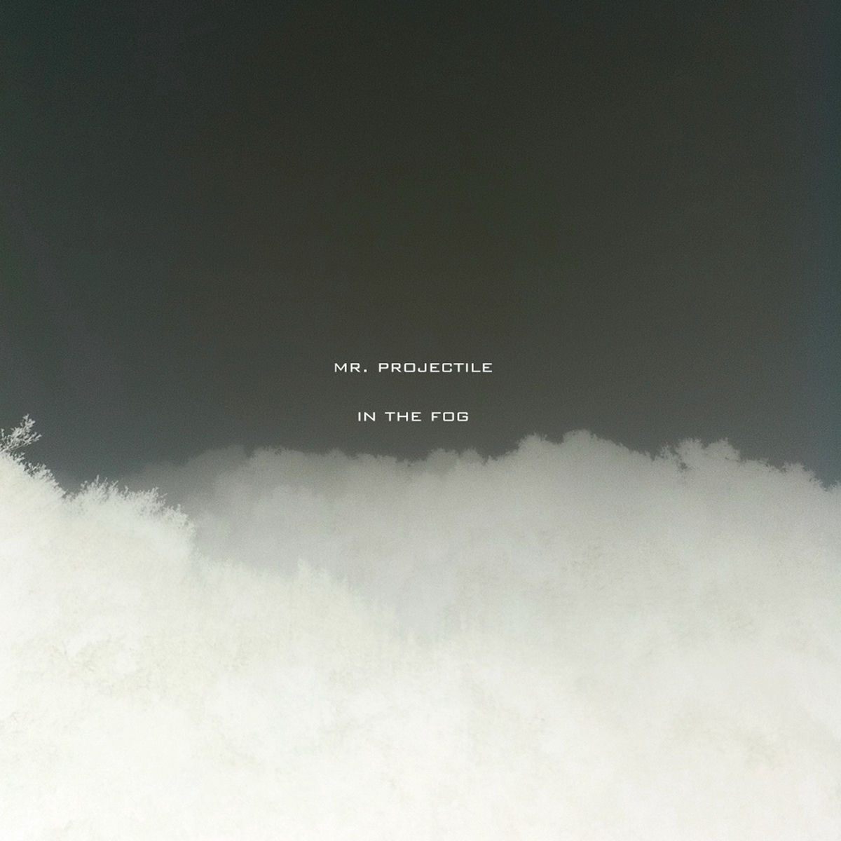 Album cover of In the Fog