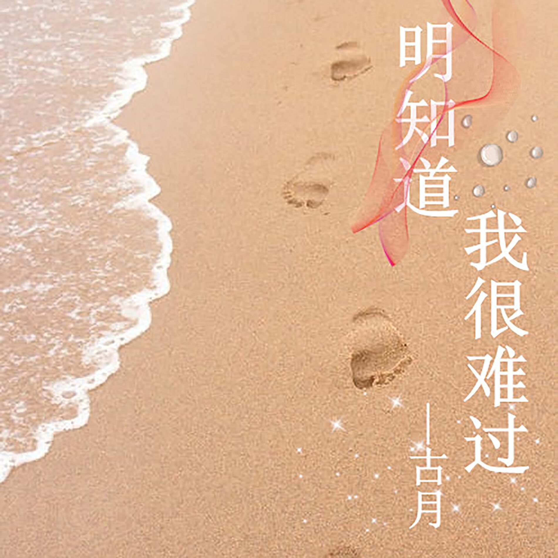 Album cover of 明知道我很难过
