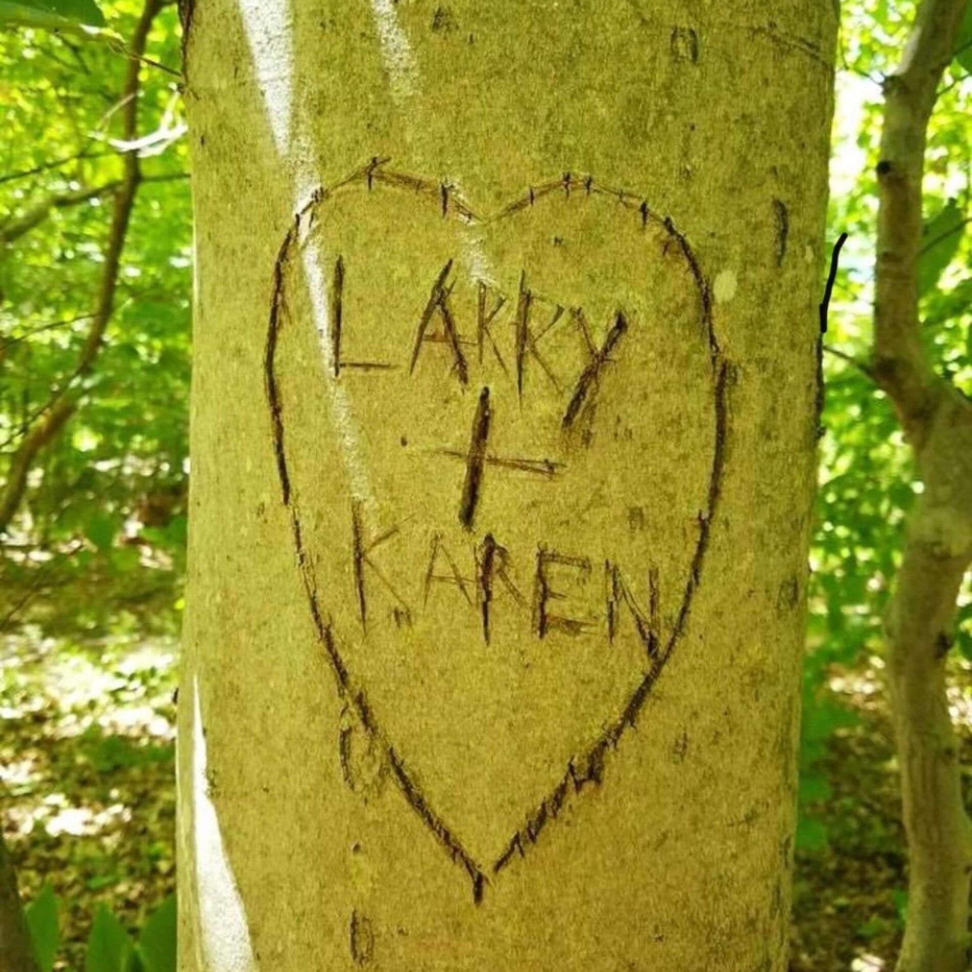 Album cover of Love Song (For Karen)