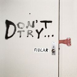 Cover of Don't Try