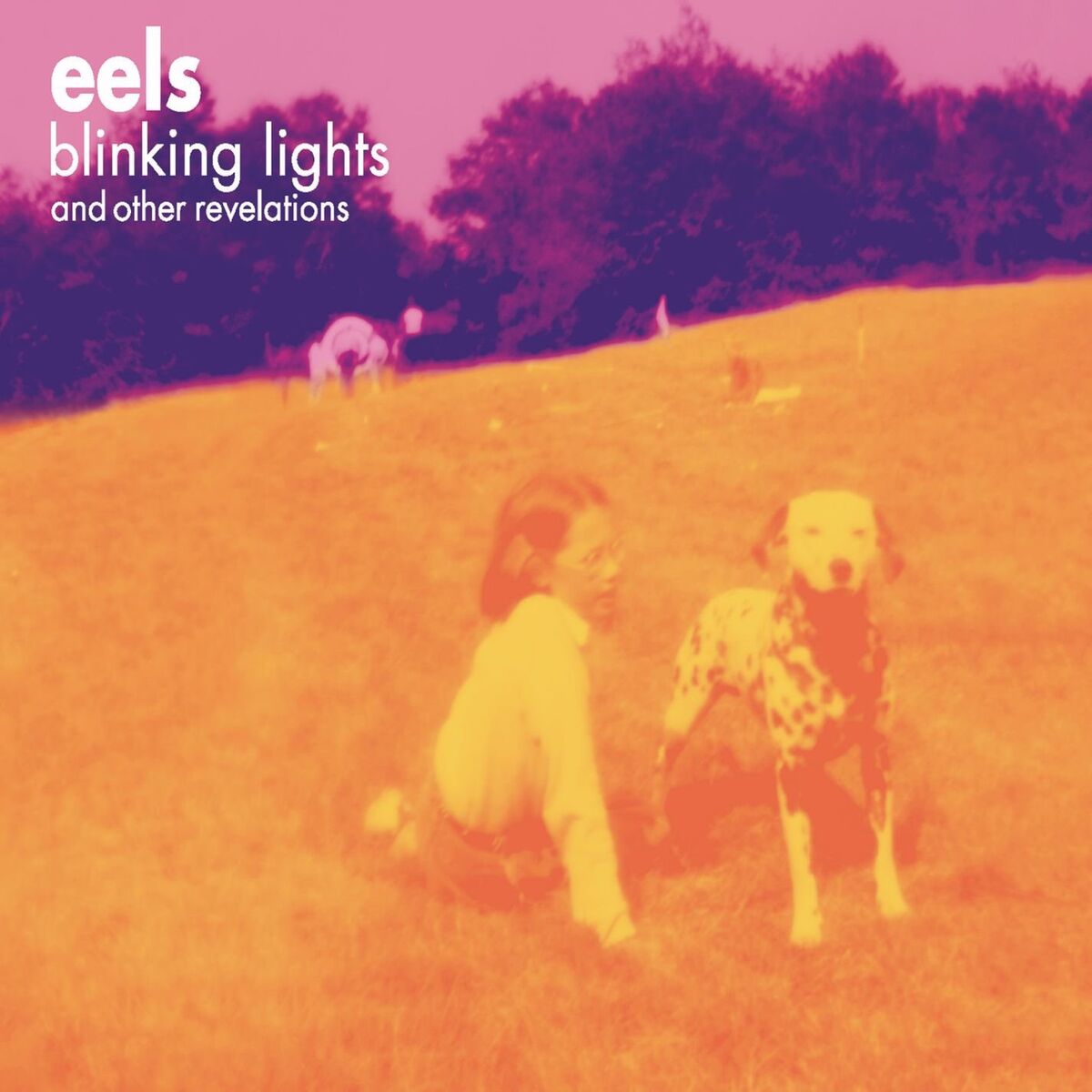Album cover of Theme from Blinking Lights