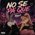 No Se Pa' Que