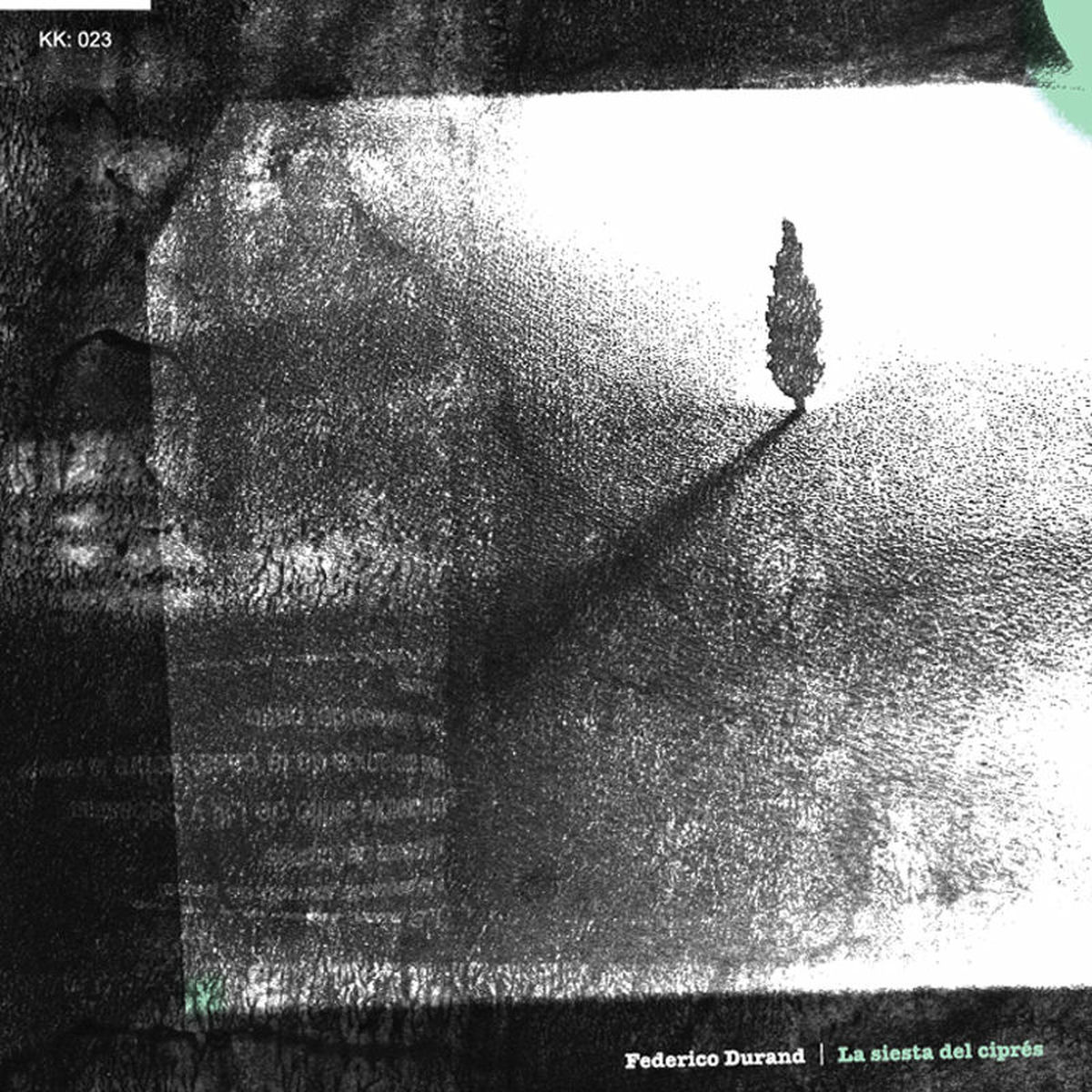 Album cover of La siesta del cipre's