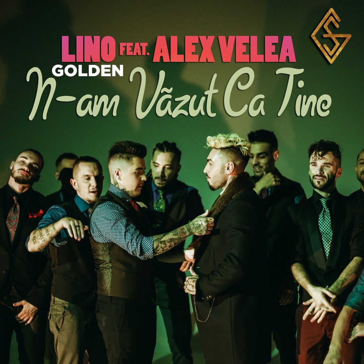Album cover of N-Am Vazut Ca Tine