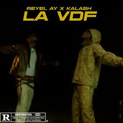 Cover of La VDF