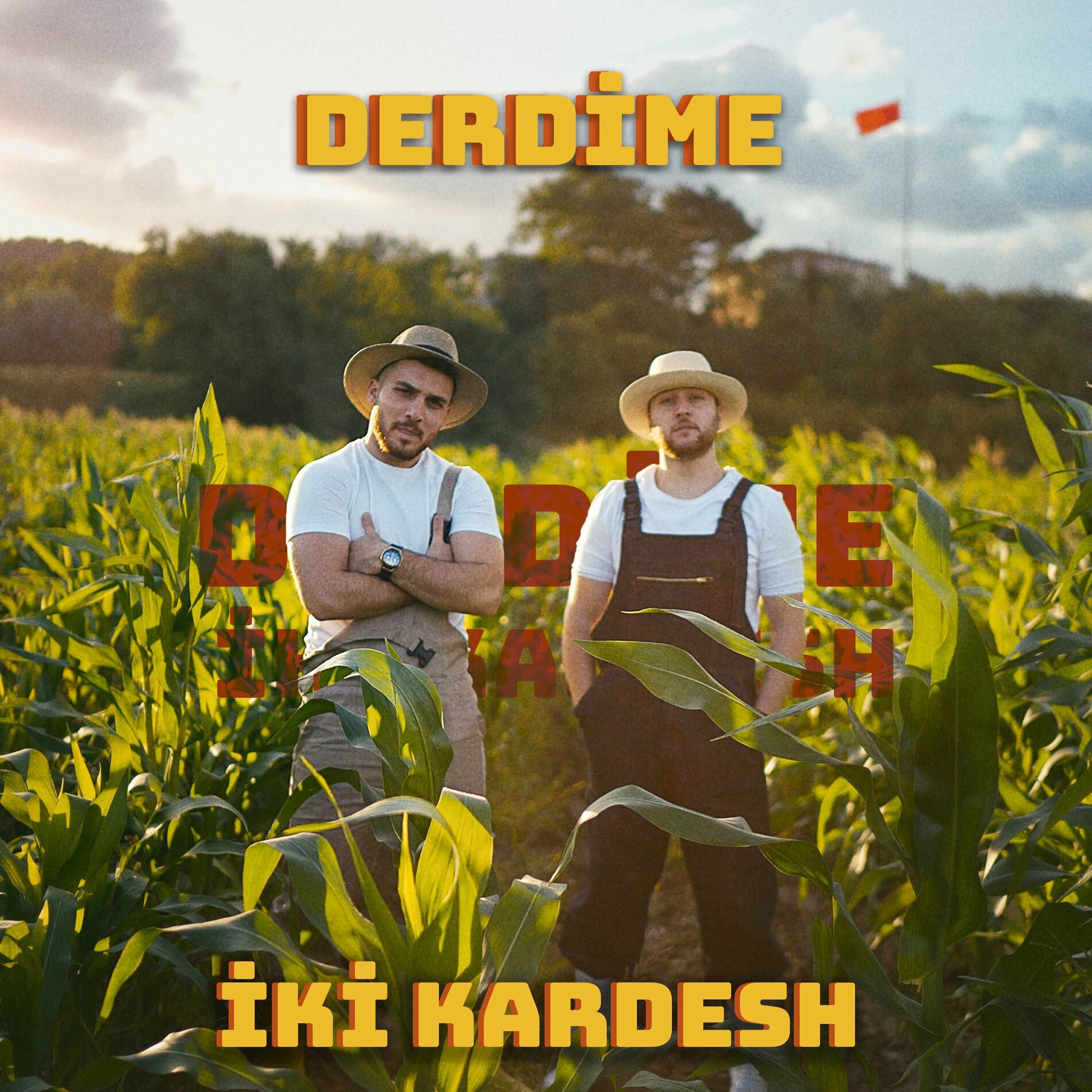 Album cover of Derdime