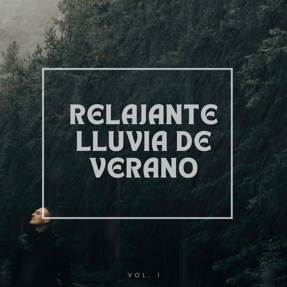 Picture of Relajante lluvia de verano Vol.1