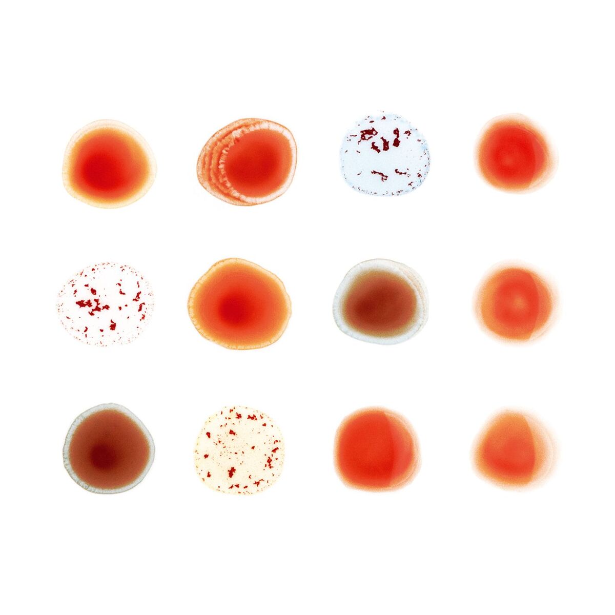 Album cover of Heroes