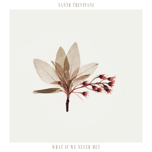 What if we never met — Santo Trevisani