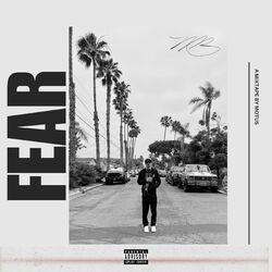Cover of Fear
