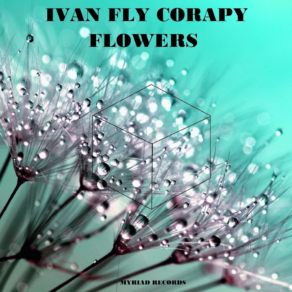 Picture of Flowers