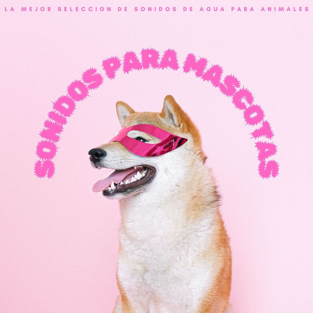 Picture of Sonidos Para Mascotas: La Mejor Seleccion De Sonidos De Agua Para Animales