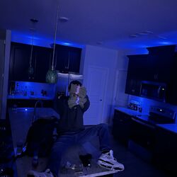 Cover of YOUNG RICH AND DANGEROUS