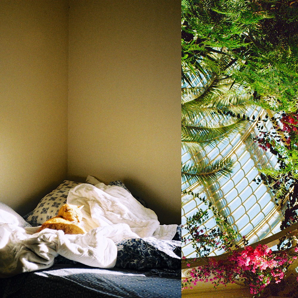 Album artwork for (GREAT) DAY OUTSIDE by Mali Jo$e