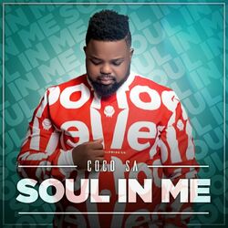 Cover of Soul In Me