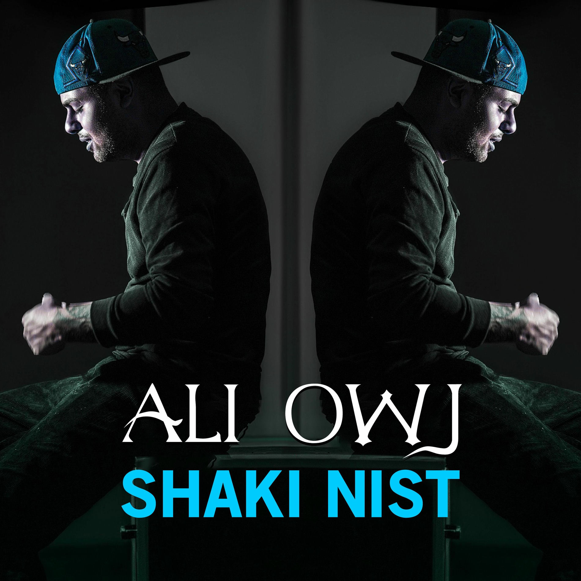 Album cover of Shaki Nist (feat. T-Dey)