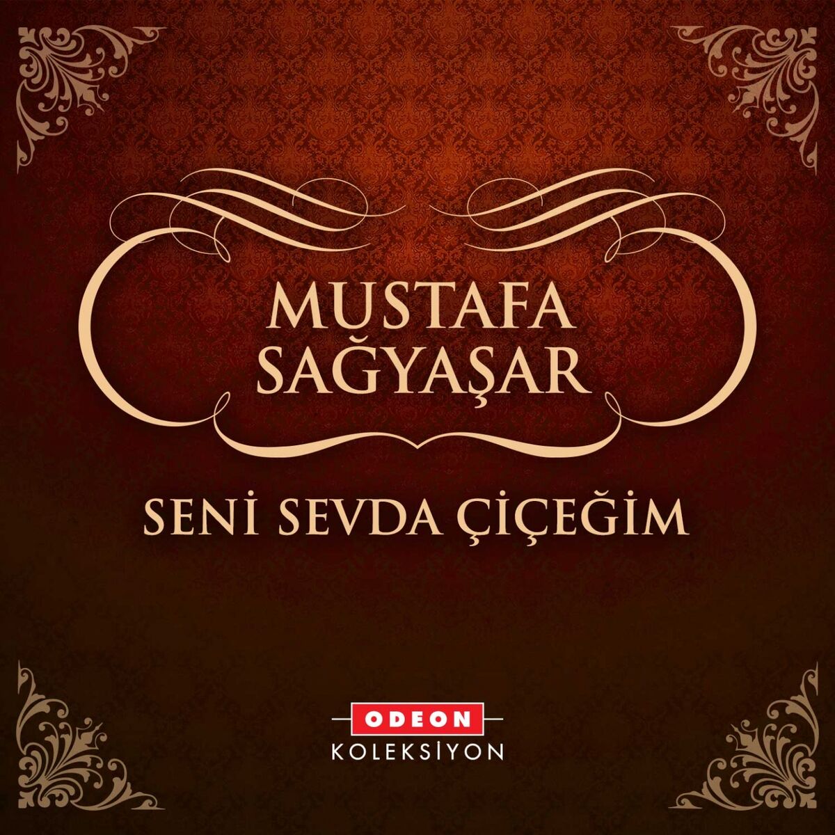 Album cover of Seni Sevda Çiçeğim