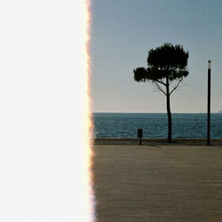 Cover of dont u by undefined