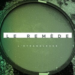 Cover of Le remède