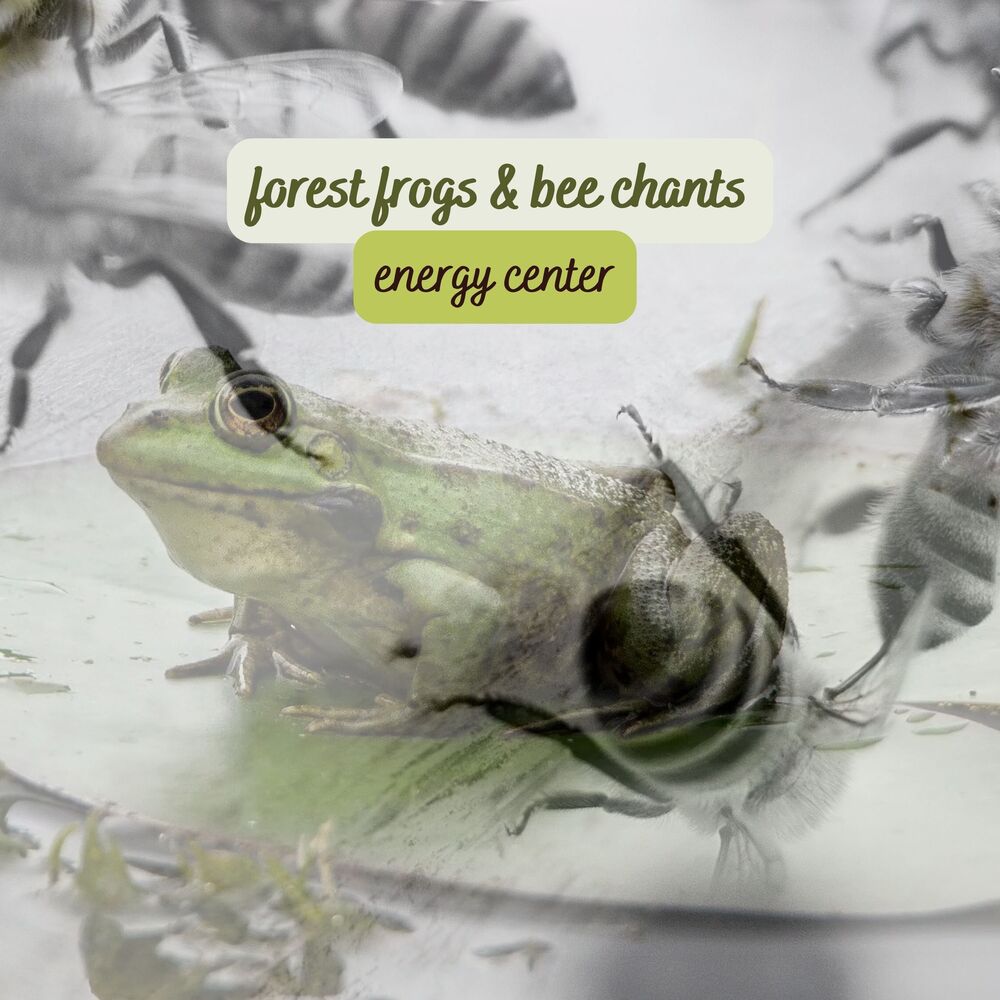Picture of Forest Frogs & Bee Chants