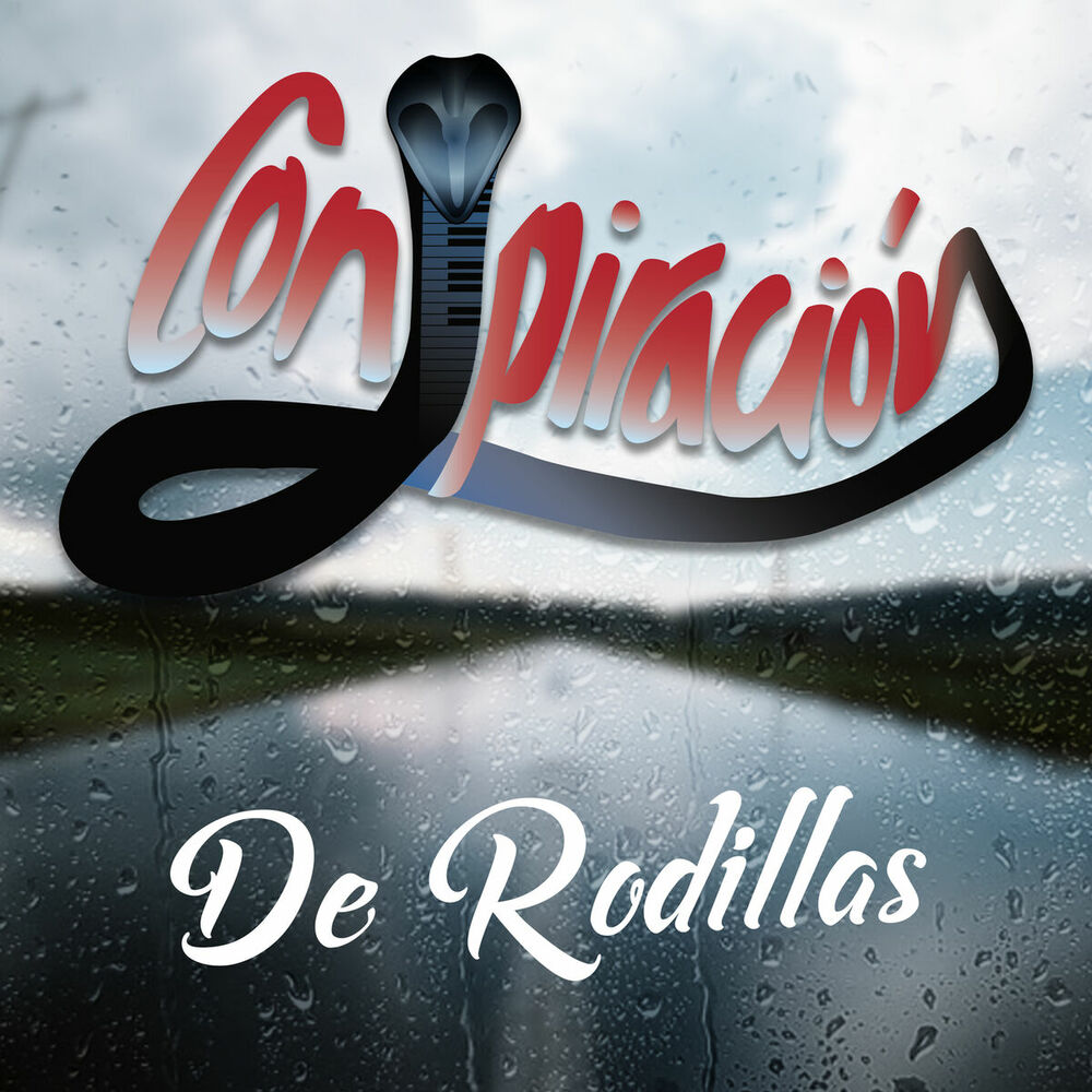 Picture of De Rodillas