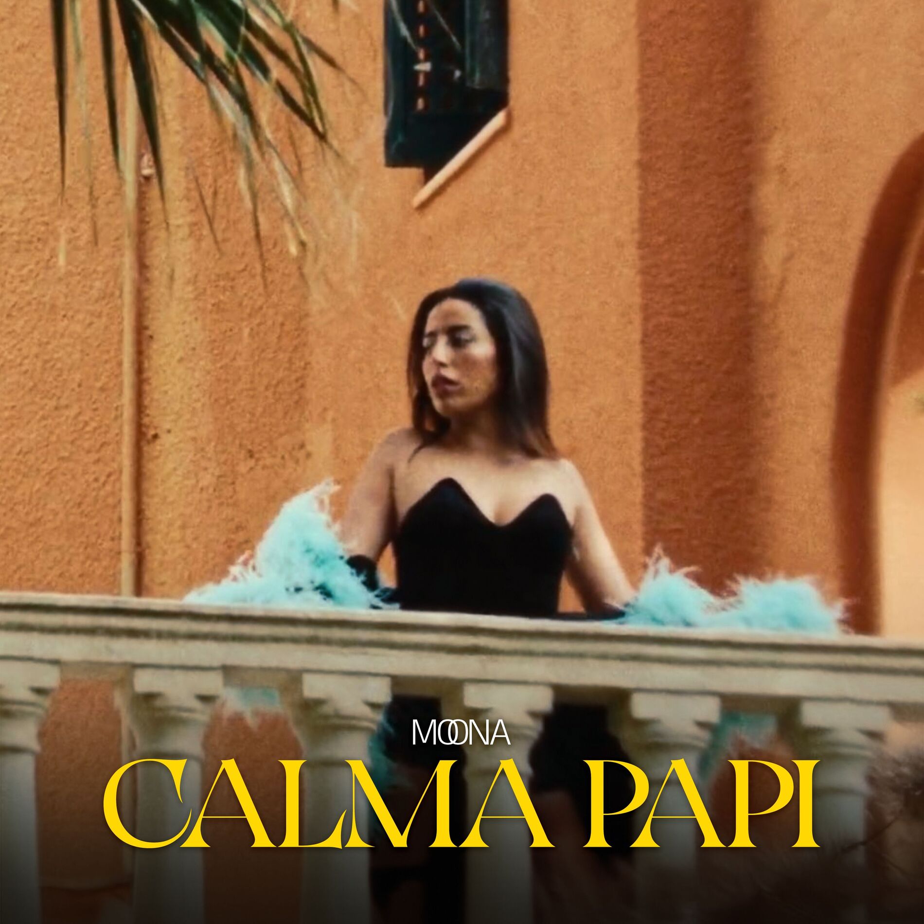 Album cover of Calma Papi