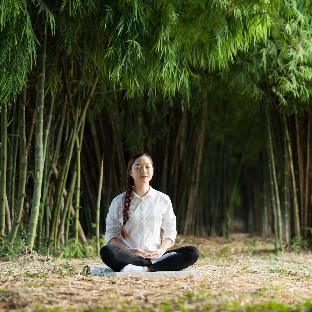 Picture of Meditation Under Piano Rain Showers