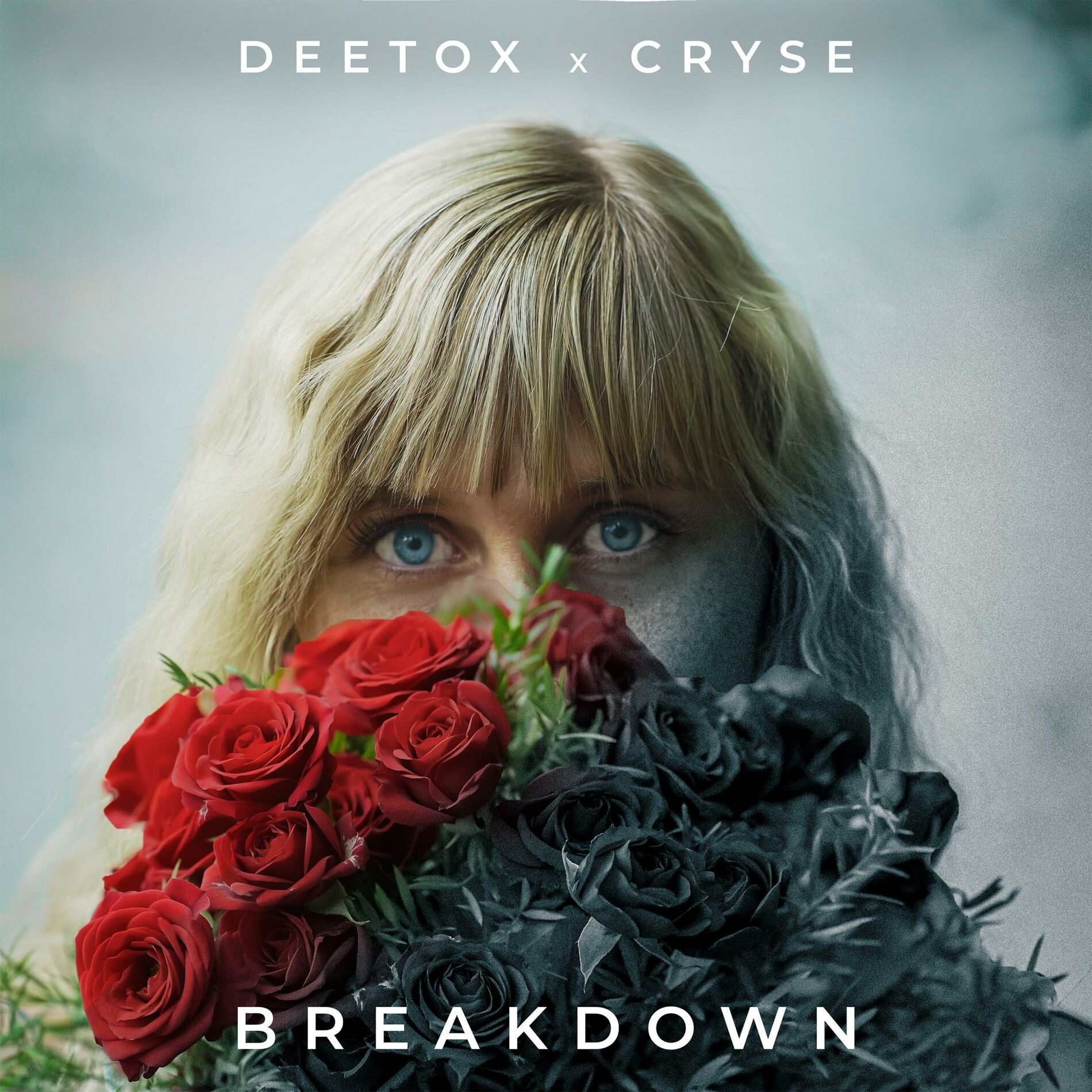 Album cover of Breakdown