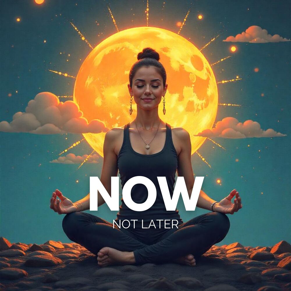 Picture of Now, Not Later: Meditate in the Moment