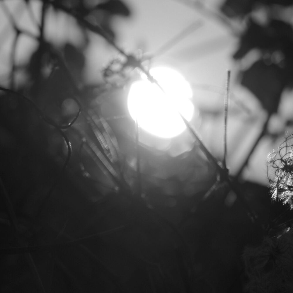 Picture of Ethereal