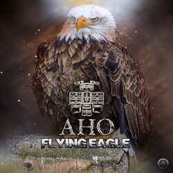Cover of Flying Eagle