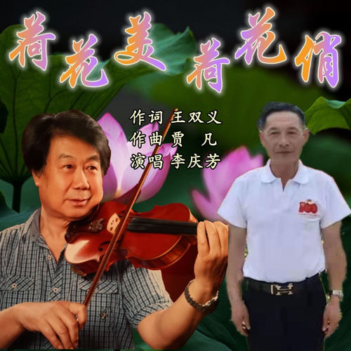 荷花美 荷花俏
