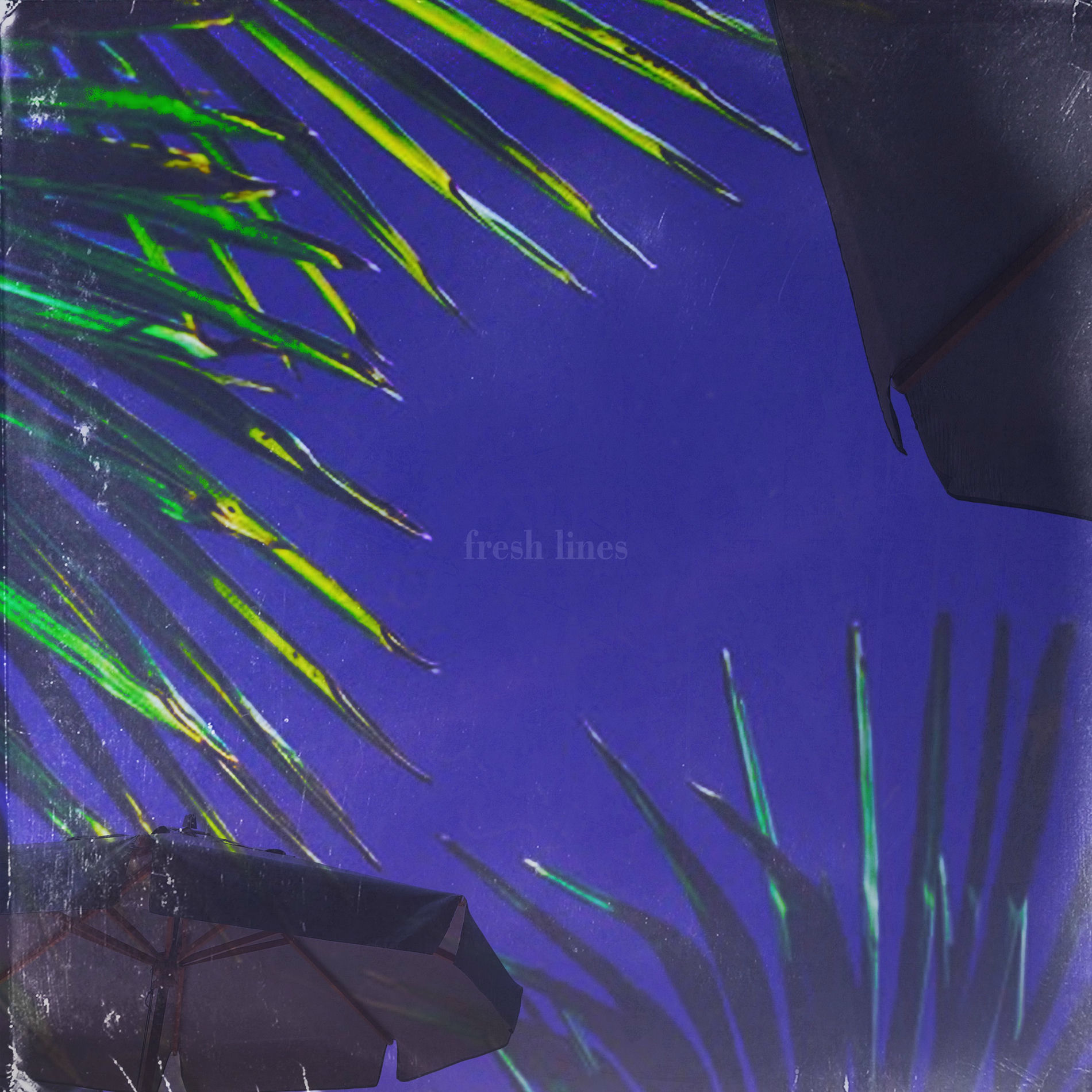 Album cover of fresh lines