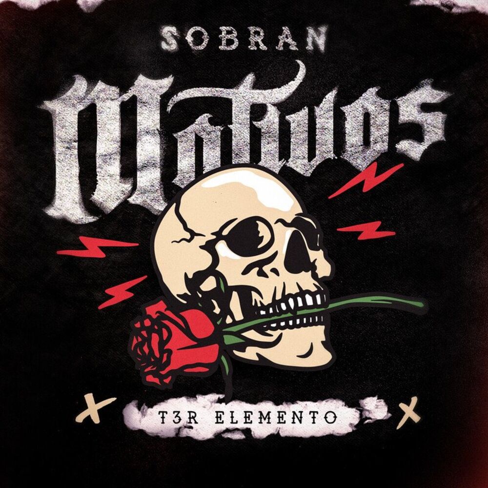 Picture of Sobran Motivos